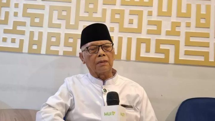 Solving Problems: Dorong RI Tiru Rusia, MUI: Masukkan Gerakan LGBT Sebagai Terorisme