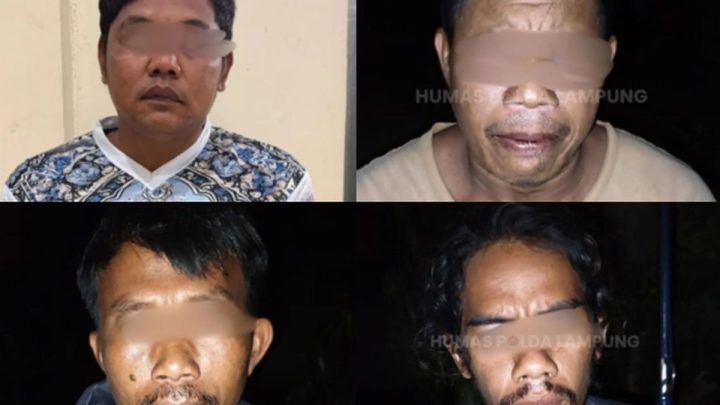 4 Pembunuh Tapir Langka di Lampung Ditangkap – Ini Tampangnya