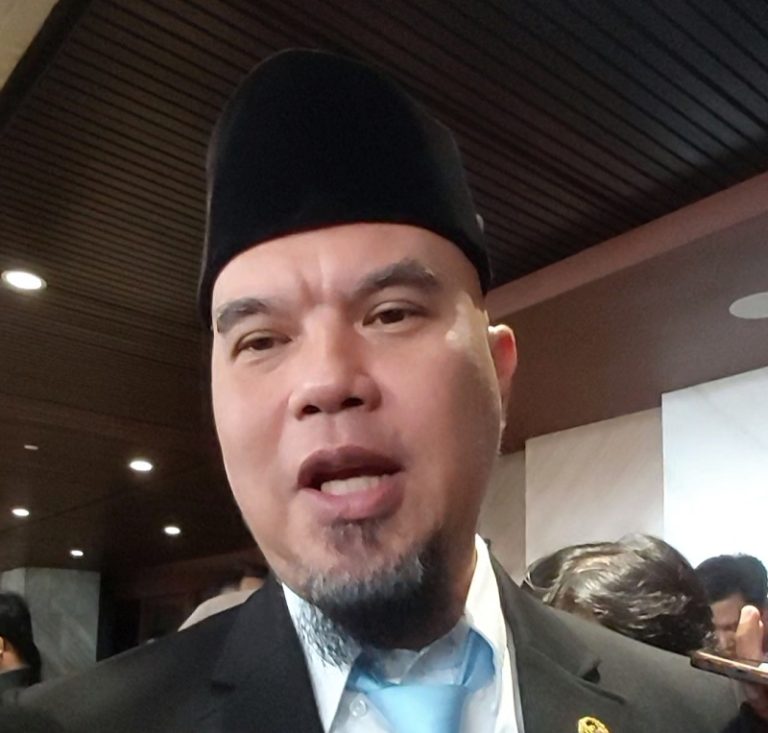 anggota_dpr_ri_ahmad_dhani-SLHu_large