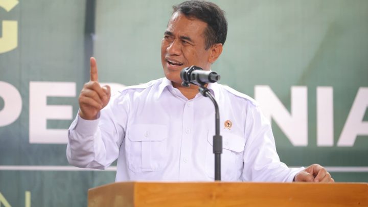 Ini Tantangan RI Swasembada Bawang Putih
