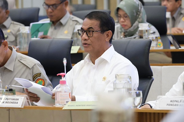Mentan Wajibkan SPPG Serap Telur dari Peternak Rp26.500 per Kg, Ini Alasannya