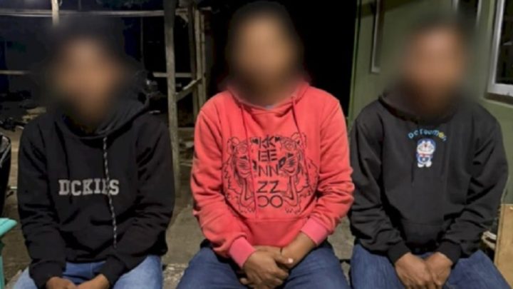 Viral Burung Hantu Dibakar Hidup-Hidup, Pelaku Percaya Bisa Hilangkan Ilmu Hitam