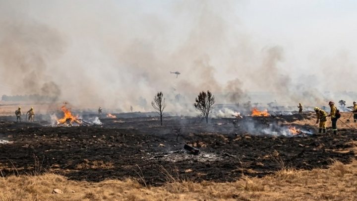 Alun-Alun Suryakencana Kebakaran, Pendakian Gunung Gede-Pangrango Ditutup Sementara
