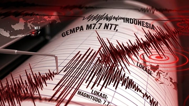 BMKG: Tsunami Terjadi di Maurole Usai Gempa M7,7 NTT